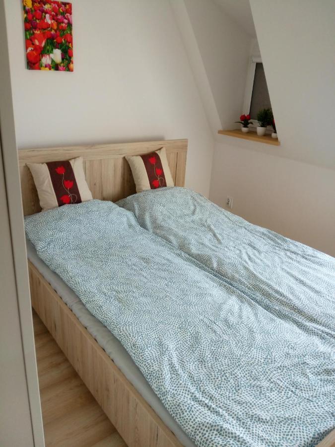 Apartament Tulip Jagiellonska *